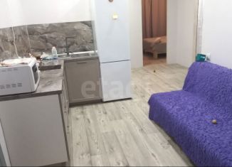 Двухкомнатная квартира на продажу, 48.8 м2, городской посёлок Новоселье, Центральная улица, 10к1, ЖК Эпсилон