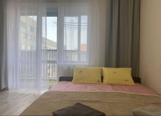 Сдается квартира студия, 30 м2, Екатеринбург, Золотистый бульвар, 4