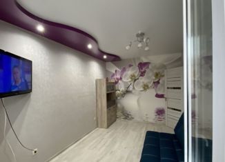 Продаю 2-ком. квартиру, 46 м2, Краснодар, улица Западный Обход, 42/3к1, ЖК Спортивная деревня