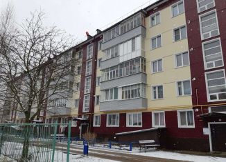 2-ком. квартира в аренду, 43 м2, Людиново, улица Герцена, 23В