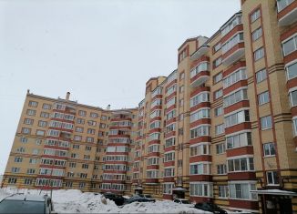 Продажа однокомнатной квартиры, 43 м2, Великий Новгород, Хутынская улица, 29, ЖК ул. Хутынская