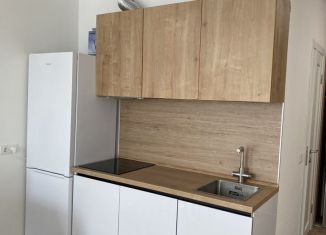 Квартира в аренду студия, 30 м2, Люберцы, улица Камова, 3к2, ЖК Люберцы 2020