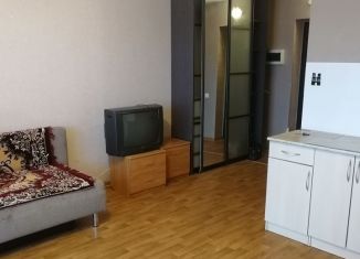 Продаю квартиру студию, 23.9 м2, посёлок Западный, Заповедная улица, 2