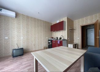 Сдача в аренду квартиры студии, 27 м2, Республика Башкортостан, улица Рудольфа Нуреева, 6