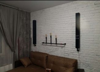 Сдается в аренду квартира студия, 23.5 м2, деревня Голубое, Тверецкий проезд