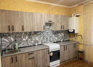 Сдается 1-ком. квартира, 44 м2, Ставропольский край, Андреевская улица, 2