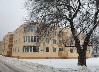 Продается 1-ком. квартира, 53 м2, село Совхоз Боровский, Молодёжная улица, 12А