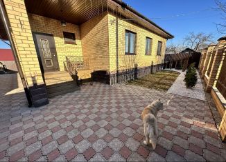 Продажа коттеджа, 120 м2, село Михайловка, Революционная улица, 46/3