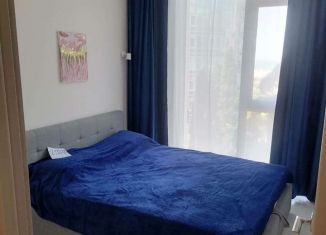 Сдача в аренду 2-комнатной квартиры, 33 м2, Сочи, Депутатская улица, 10Б/1, ЖК Метрополь