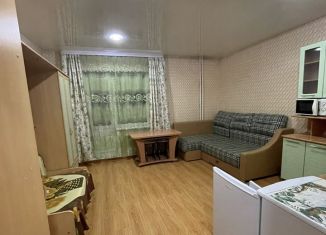 Аренда квартиры студии, 30 м2, Республика Алтай, улица Берёзовая Роща, 9к4