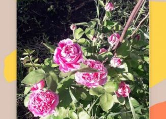 Продажа участка, 4 сот., Салават