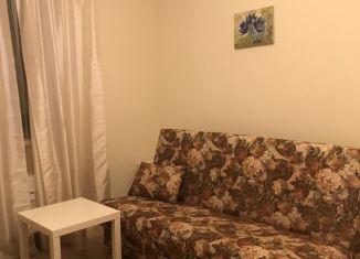 Сдам квартиру студию, 22 м2, Мурино, улица Шувалова, 19к1, ЖК Краски Лета