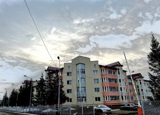 Продается трехкомнатная квартира, 89.2 м2, село Кармаскалы, улица Рафикова, 11