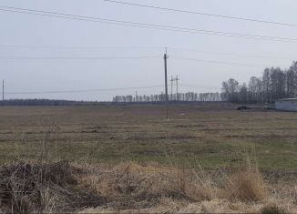 Продам участок, 275 сот., деревня Калинино, Берёзовая улица