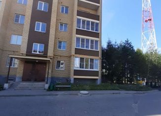 Сдам в аренду однокомнатную квартиру, 43 м2, Задонск, Запрудная улица, 1Е