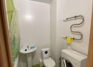 Аренда квартиры студии, 27.5 м2, Мурино, проспект Авиаторов Балтики, 11/1, ЖК Три кита