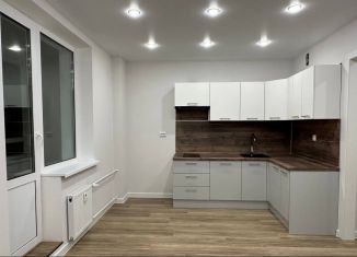 Продам квартиру студию, 30 м2, Мурино, ЖК Урбанист, Екатерининская улица, 17