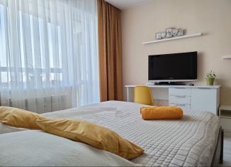 1-комнатная квартира в аренду, 41 м2, Новосибирск, Красный проспект, 305, Калининский район
