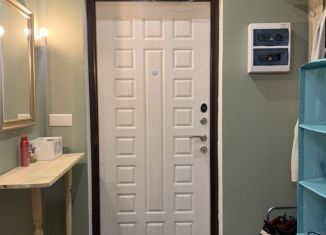 Сдача в аренду однокомнатной квартиры, 40 м2, Мурино, улица Шувалова, 14, ЖК Созвездие