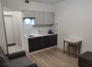 Сдается квартира студия, 20 м2, Люберцы, улица Лётчика Ларюшина, 18, ЖК Жулебино Парк