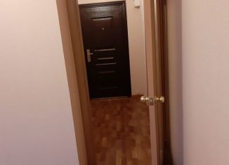Сдача в аренду однокомнатной квартиры, 37 м2, Курская область, проспект Анатолия Дериглазова, 29