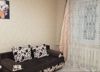 Квартира в аренду студия, 25 м2, Архангельск, проспект Обводный канал, 8к5