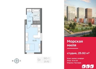Продам квартиру студию, 25.9 м2, Санкт-Петербург, муниципальный округ Юго-Запад
