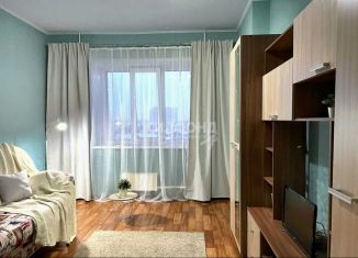 Сдается в аренду 1-комнатная квартира, 33 м2, Новосибирск, улица Толстого, 149, метро Речной вокзал
