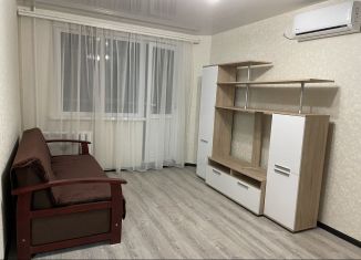 Аренда 1-комнатной квартиры, 30 м2, Ставропольский край, Северная улица, 13