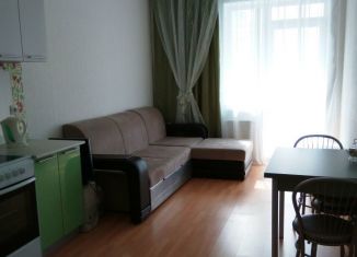 Продаю 1-комнатную квартиру, 41.9 м2, Екатеринбург, улица Степана Разина, 107Ак1