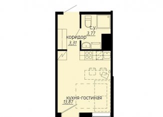 Квартира на продажу студия, 21 м2, Санкт-Петербург, метро Площадь Мужества
