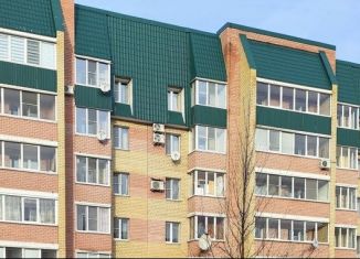 Сдача в аренду 1-комнатной квартиры, 45 м2, Вологодская область, Городецкая улица, 5