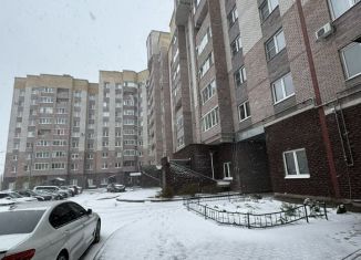 Сдам в аренду однокомнатную квартиру, 41 м2, Великий Новгород, Псковская улица, 56