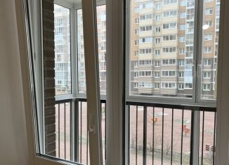 Продам однокомнатную квартиру, 32.2 м2, Ленинградская область, Голландская улица