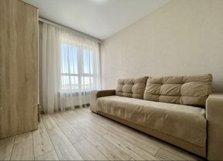 Сдается однокомнатная квартира, 30 м2, Пензенская область, улица Щербакова, 89