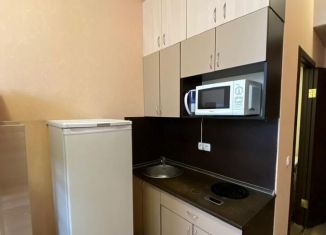 Сдается в аренду квартира студия, 17 м2, Москва, Нижняя Первомайская улица, 68/7, район Восточное Измайлово