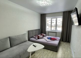 Сдается 1-комнатная квартира, 34 м2, Сыктывкар, улица Домны Каликовой, 58