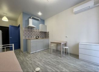 Сдам в аренду квартиру студию, 23 м2, Краснодар, Восточно-Кругликовская улица, 42/3к1, микрорайон Панорама