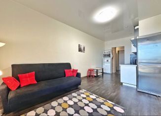 Квартира на продажу студия, 23 м2, Мурино, Оборонная улица, 37к2, ЖК Старая Крепость