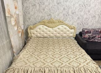 Сдача в аренду однокомнатной квартиры, 43 м2, Ростов-на-Дону, улица Ерёменко, 94, ЖК Английский Квартал