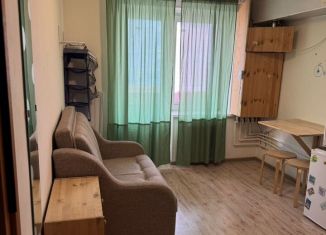 Сдаю квартиру студию, 17 м2, Владимир, Песочная улица, 19А