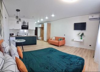 Квартира на продажу студия, 32 м2, Краснодар, улица имени Ф.И. Шаляпина, 30/1к2, микрорайон Завод Радиоизмерительных Приборов