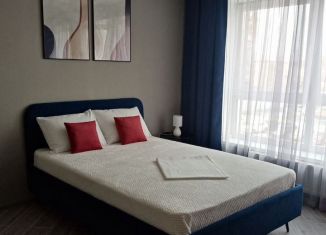 Сдается в аренду квартира студия, 30 м2, Екатеринбург, улица Юмашева, 6, метро Динамо
