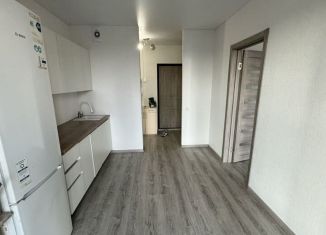 Сдам в аренду 1-ком. квартиру, 33 м2, Челябинская область, улица имени Капитана Ефимова, 4