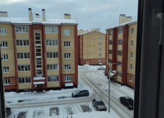 Сдаю в аренду 1-ком. квартиру, 34 м2, Ярославль, улица Александра Додонова, 4к3, ЖК Норские Резиденции