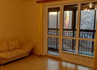 Сдам в аренду 1-ком. квартиру, 41 м2, Москва, проезд Шелихова, 9к1, район Лефортово