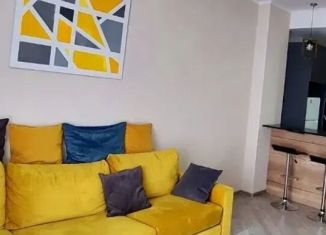 Продажа 1-комнатной квартиры, 24.2 м2, Сочи, Орбитовская улица, 2Б, микрорайон Энергетик-Изумруд