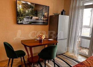 Продается 1-ком. квартира, 44 м2, Тюмень, улица Андрея Бушуева, 2, ЖК Клевер Парк