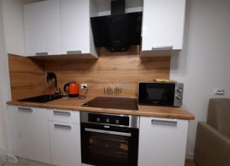 Продаю 1-комнатную квартиру, 26 м2, Мурино, Екатерининская улица, 3/4, ЖК Территория