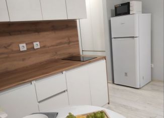 Сдам в аренду квартиру студию, 30 м2, посёлок Шушары, Новгородский проспект, 2к3